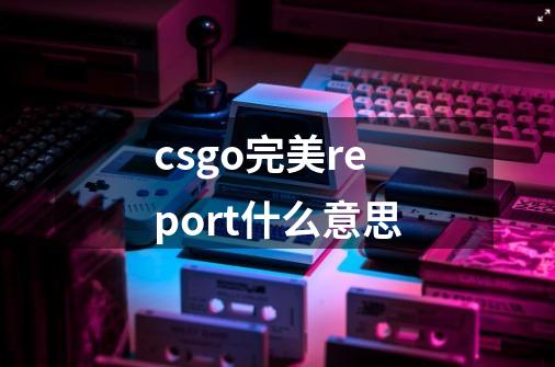 csgo完美report什么意思-第1张-游戏信息-龙启网