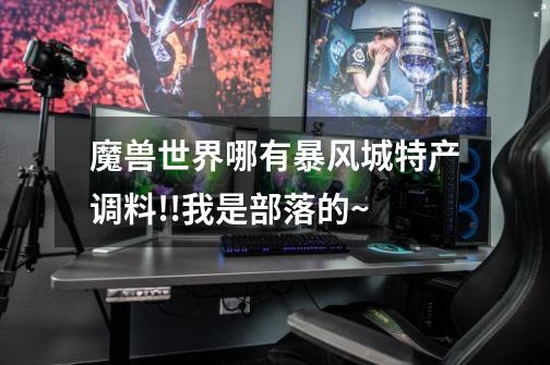 魔兽世界哪有暴风城特产调料!!我是部落的~-第1张-游戏信息-龙启网
