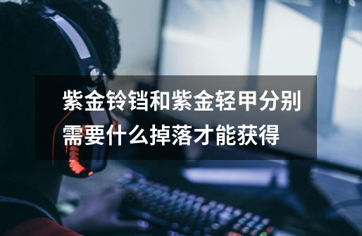 紫金铃铛和紫金轻甲分别需要什么掉落才能获得-第1张-游戏信息-龙启网