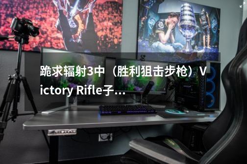 跪求辐射3中（胜利狙击步枪）Victory Rifle子弹的代码-第1张-游戏信息-龙启网