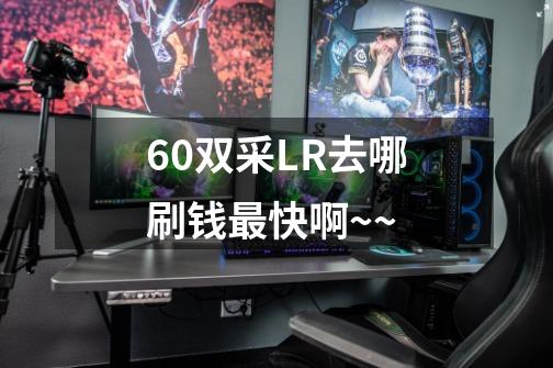 60双采LR去哪刷钱最快啊~~-第1张-游戏信息-龙启网