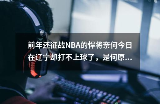 前年还征战NBA的悍将奈何今日在辽宁却打不上球了,是何原因?-第1张-游戏信息-龙启网