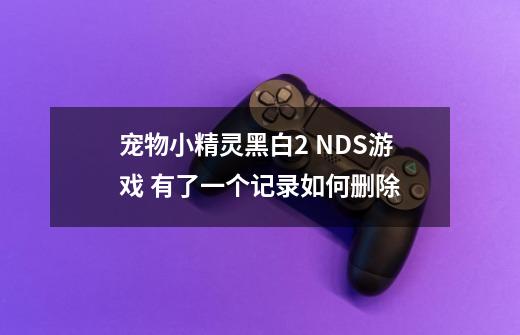 宠物小精灵黑白2 NDS游戏 有了一个记录如何删除-第1张-游戏信息-龙启网