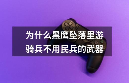 为什么黑鹰坠落里游骑兵不用民兵的武器-第1张-游戏信息-龙启网