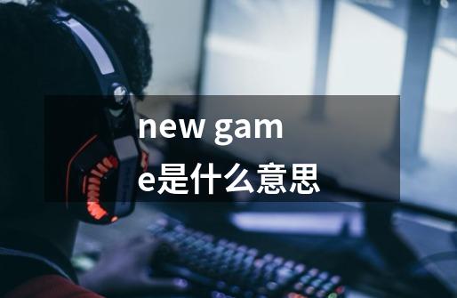new game是什么意思-第1张-游戏信息-龙启网