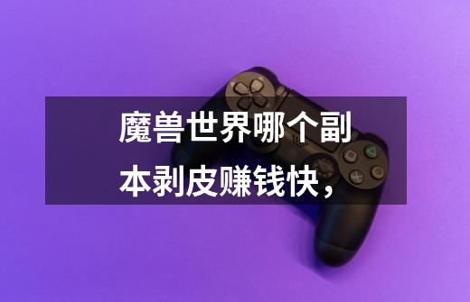 魔兽世界哪个副本剥皮赚钱快，-第1张-游戏信息-龙启网