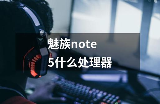 魅族note5什么处理器-第1张-游戏信息-龙启网