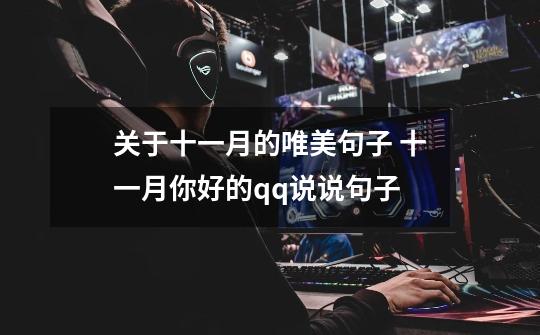 关于十一月的唯美句子 十一月你好的qq说说句子-第1张-游戏信息-龙启网