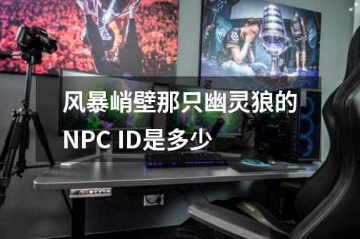 风暴峭壁那只幽灵狼的NPC ID是多少-第1张-游戏信息-龙启网