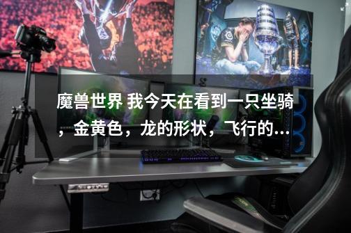 魔兽世界 我今天在看到一只坐骑，金黄色，龙的形状，飞行的时候整个身体都扭动的，这是什么坐骑啊-第1张-游戏信息-龙启网