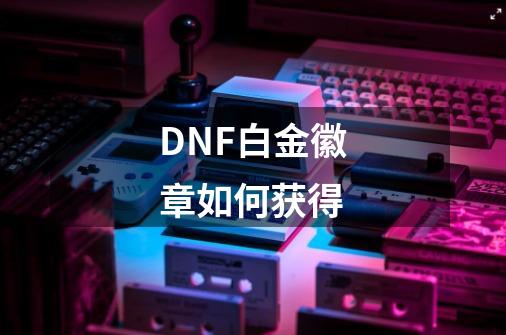 DNF白金徽章如何获得-第1张-游戏信息-龙启网