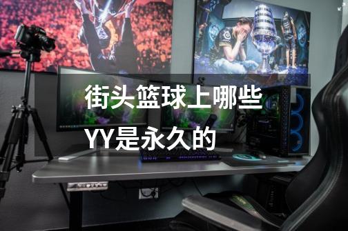 街头篮球上哪些YY是永久的-第1张-游戏信息-龙启网