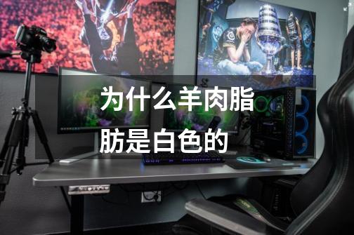为什么羊肉脂肪是白色的-第1张-游戏信息-龙启网