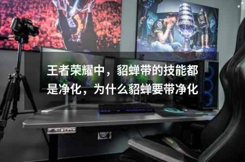 王者荣耀中,貂蝉带的技能都是净化,为什么貂蝉要带净化-第1张-游戏信息-龙启网