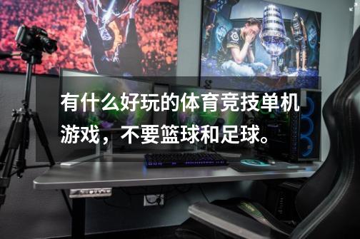 有什么好玩的体育竞技单机游戏，不要篮球和足球。-第1张-游戏信息-龙启网