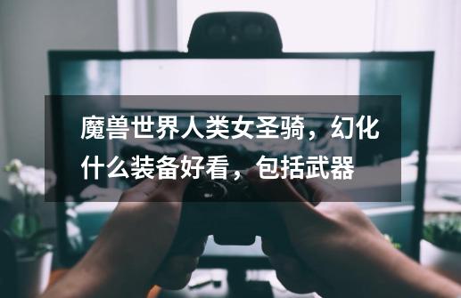 魔兽世界人类女圣骑，幻化什么装备好看，包括武器-第1张-游戏信息-龙启网