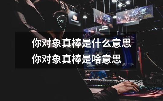 你对象真棒是什么意思你对象真棒是啥意思-第1张-游戏信息-龙启网