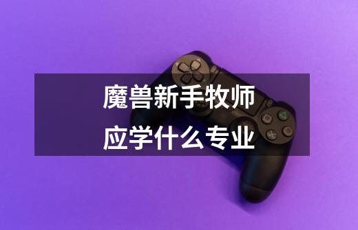 魔兽新手牧师应学什么专业-第1张-游戏信息-龙启网