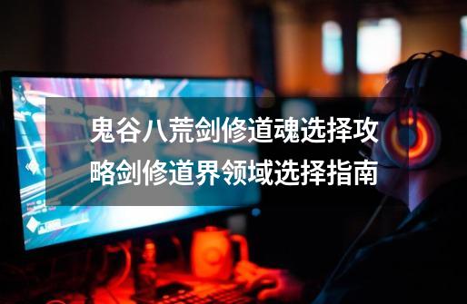 鬼谷八荒剑修道魂选择攻略剑修道界领域选择指南-第1张-游戏信息-龙启网