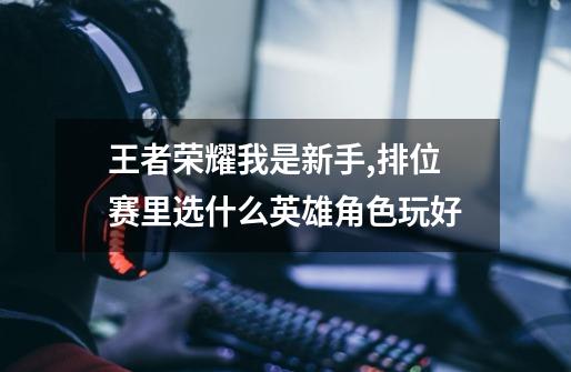 王者荣耀我是新手,排位赛里选什么英雄角色玩好-第1张-游戏信息-龙启网