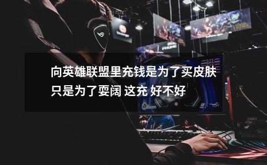向英雄联盟里充钱是为了买皮肤只是为了耍阔 这充 好不好-第1张-游戏信息-龙启网