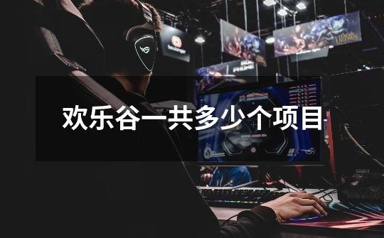欢乐谷一共多少个项目-第1张-游戏信息-龙启网