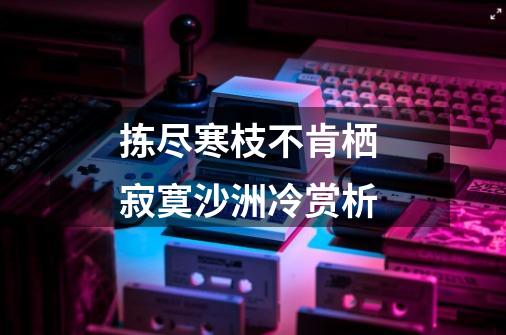 拣尽寒枝不肯栖 寂寞沙洲冷赏析-第1张-游戏信息-龙启网