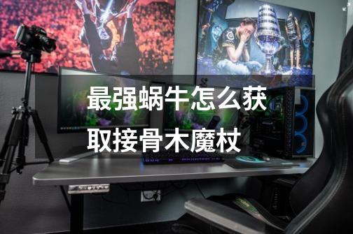最强蜗牛怎么获取接骨木魔杖-第1张-游戏信息-龙启网