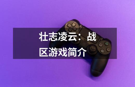 壮志凌云:战区游戏简介-第1张-游戏信息-龙启网