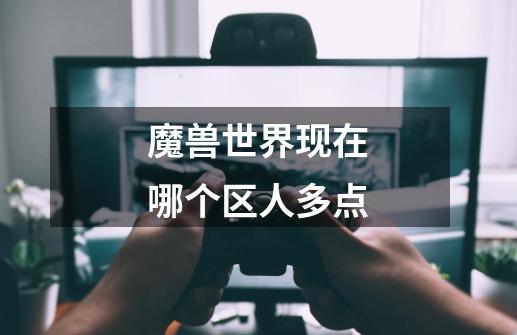 魔兽世界现在哪个区人多点-第1张-游戏信息-龙启网