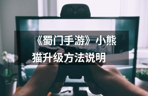 《蜀门手游》小熊猫升级方法说明-第1张-游戏信息-龙启网