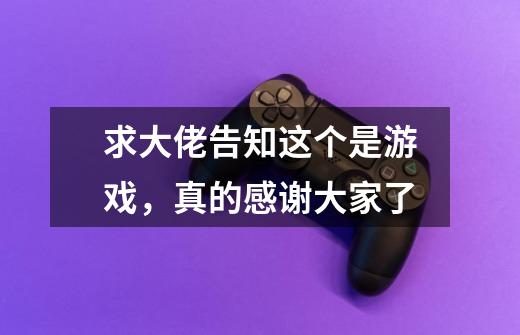 求大佬告知这个是游戏，真的感谢大家了-第1张-游戏信息-龙启网