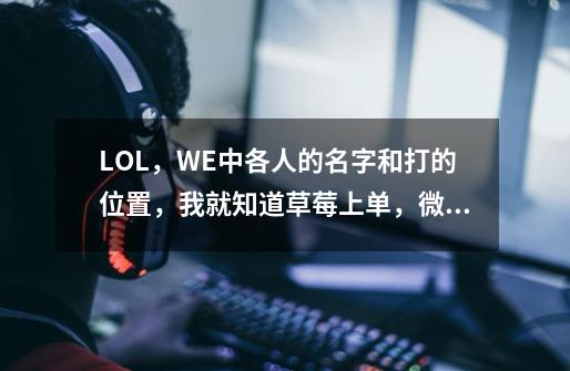 LOL,WE中各人的名字和打的位置,我就知道草莓上单,微笑ADC-第1张-游戏信息-龙启网