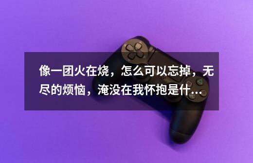 像一团火在烧,怎么可以忘掉,无尽的烦恼,淹没在我怀抱是什么歌 歌曲-第1张-游戏信息-龙启网