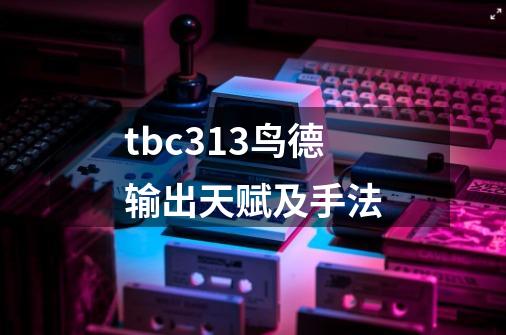 tbc3.13鸟德输出天赋及手法-第1张-游戏信息-龙启网