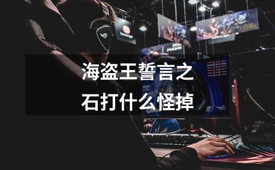 海盗王誓言之石打什么怪掉-第1张-游戏信息-龙启网