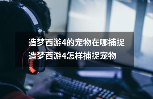 造梦西游4的宠物在哪捕捉造梦西游4怎样捕捉宠物-第1张-游戏信息-龙启网