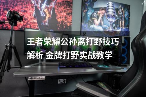 王者荣耀公孙离打野技巧解析 金牌打野实战教学-第1张-游戏信息-龙启网