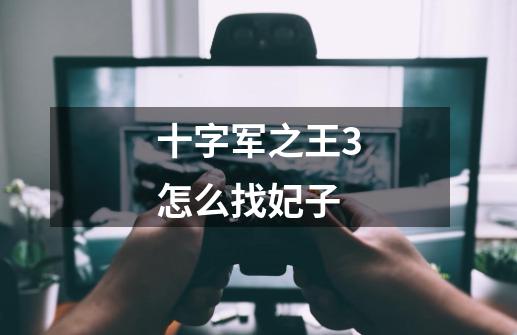 十字军之王3怎么找妃子-第1张-游戏信息-龙启网