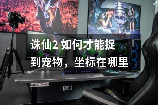 诛仙2 如何才能捉到宠物,坐标在哪里-第1张-游戏信息-龙启网