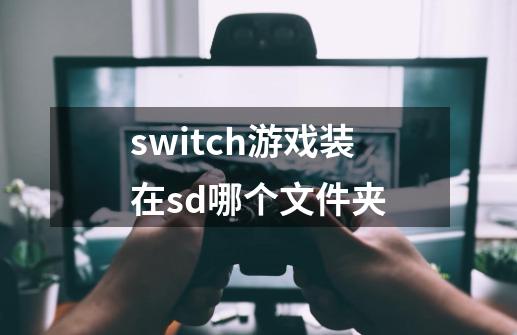 switch游戏装在sd哪个文件夹-第1张-游戏信息-龙启网