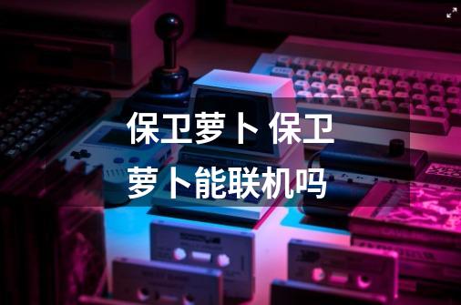 保卫萝卜 保卫萝卜能联机吗-第1张-游戏信息-龙启网