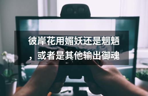彼岸花用媚妖还是魍魉,或者是其他输出御魂-第1张-游戏信息-龙启网