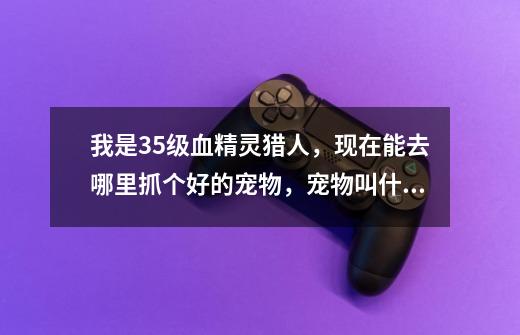 我是35级血精灵猎人,现在能去哪里抓个好的宠物,宠物叫什么。有大师指点指点。谢谢-第1张-游戏信息-龙启网