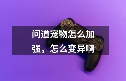 问道宠物怎么加强，怎么变异啊-第1张-游戏信息-龙启网