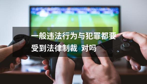 一般违法行为与犯罪都要受到法律制裁 对吗-第1张-游戏信息-龙启网