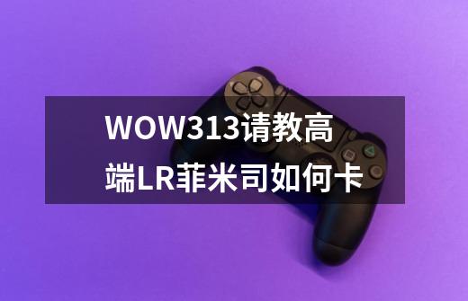 WOW3.13请教高端LR菲米司如何卡-第1张-游戏信息-龙启网