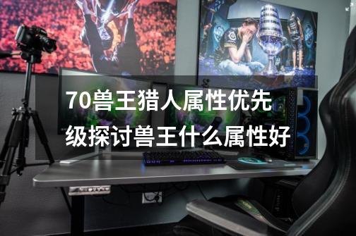 7.0兽王猎人属性优先级探讨兽王什么属性好-第1张-游戏信息-龙启网