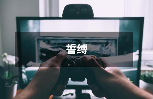 誓缚-第1张-游戏信息-龙启网
