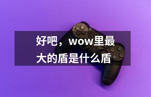 好吧，wow里最大的盾是什么盾-第1张-游戏信息-龙启网